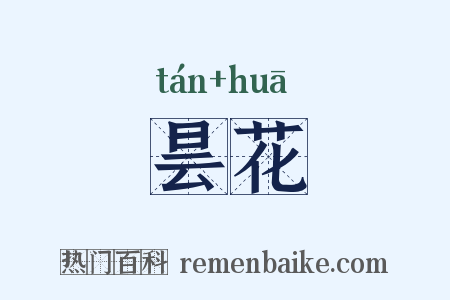 昙花是什么意思的图片